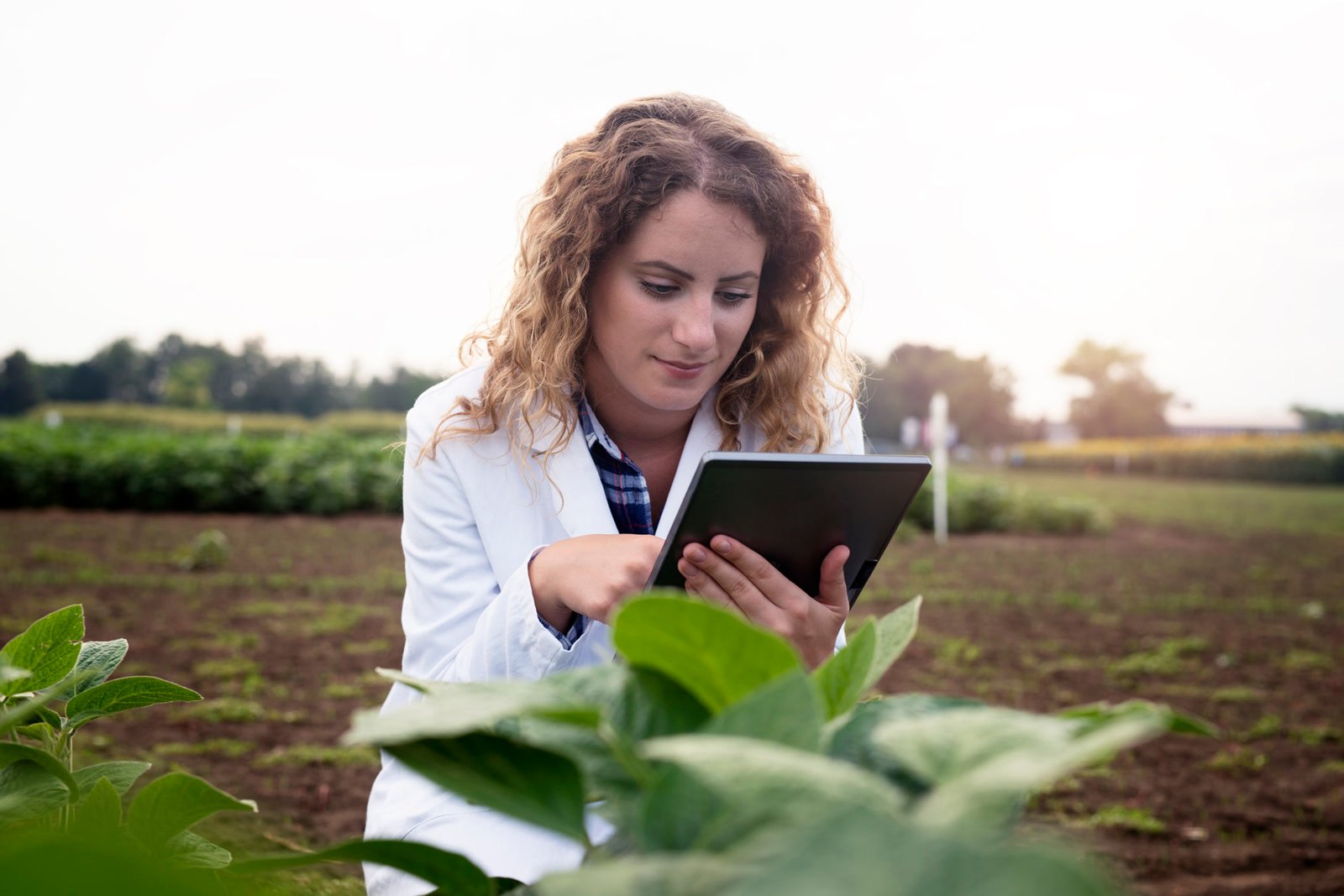 Agrônoma usando tecnologia para acompanhar uma plantação